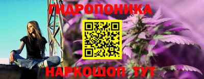 эйфоретик Заводоуковск