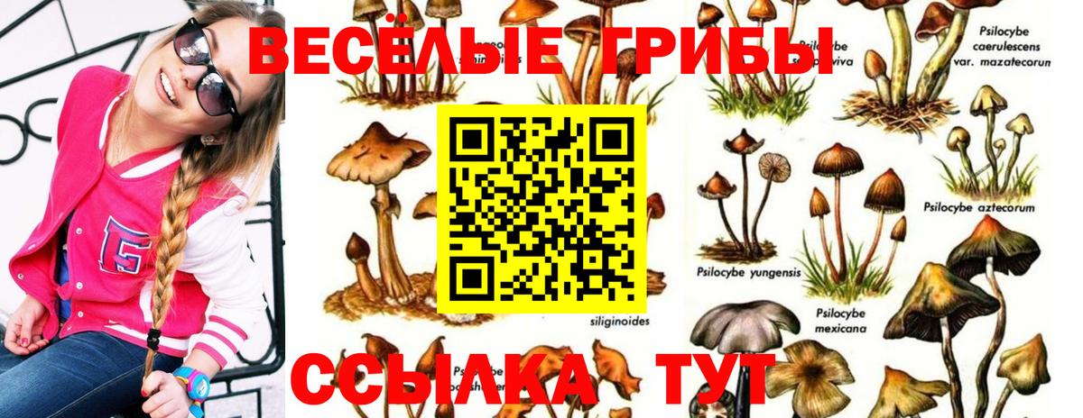 Ливны  Галлюциногенные грибы GOLDEN TEACHER  Вход с VPN 