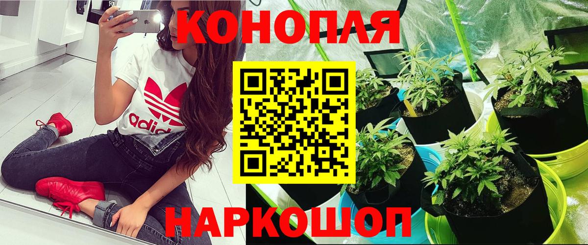 МАРИХУАНА тримм  Каннабис Ganja  Шишки марихуана OG Kush  Ливны  Вход с VPN 